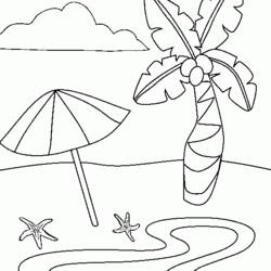Coloring page: Coconut tree (Nature) #162166 - Printable coloring pages