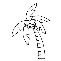 Coloring page: Coconut tree (Nature) #162285 - Printable coloring pages