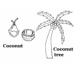 Coloring page: Coconut tree (Nature) #162365 - Printable coloring pages