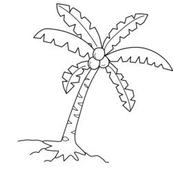 Coloring page: Coconut tree (Nature) #162366 - Printable coloring pages
