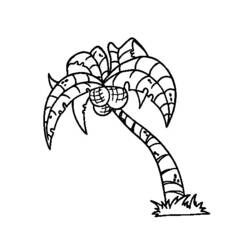 Coloring page: Coconut tree (Nature) #162375 - Printable coloring pages