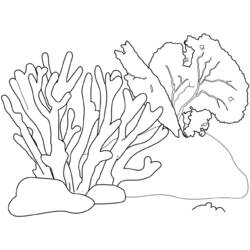 Coloring page: Coral (Nature) #162779 - Printable coloring pages