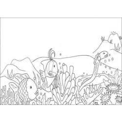 Coloring page: Coral (Nature) #162795 - Printable coloring pages