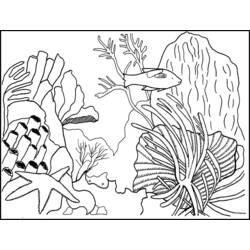 Coloring page: Coral (Nature) #162899 - Printable coloring pages