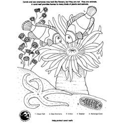 Coloring page: Coral (Nature) #162901 - Printable coloring pages
