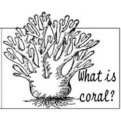 Coloring page: Coral (Nature) #162907 - Free Printable Coloring Pages