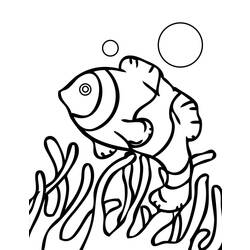 Coloring page: Coral (Nature) #162913 - Printable coloring pages