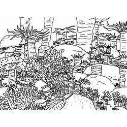 Coloring page: Coral (Nature) #162922 - Free Printable Coloring Pages