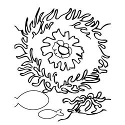 Coloring page: Coral (Nature) #162934 - Free Printable Coloring Pages