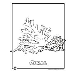 Coloring page: Coral (Nature) #162945 - Free Printable Coloring Pages