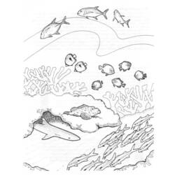 Coloring page: Coral (Nature) #162977 - Free Printable Coloring Pages