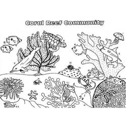 Coloring page: Coral (Nature) #163000 - Printable coloring pages