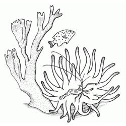 Coloring page: Coral (Nature) #163008 - Printable coloring pages