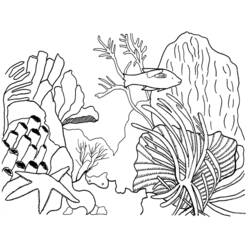 Coloring page: Coral (Nature) #163034 - Printable coloring pages