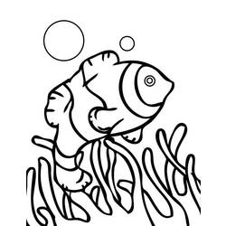 Coloring page: Coral (Nature) #163038 - Free Printable Coloring Pages