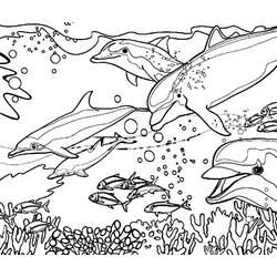 Coloring page: Coral (Nature) #163050 - Printable coloring pages