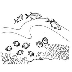 Coloring page: Coral (Nature) #163076 - Printable coloring pages