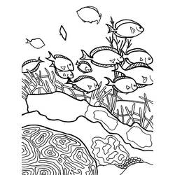 Coloring page: Coral (Nature) #163085 - Free Printable Coloring Pages