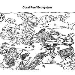 Coloring page: Coral (Nature) #163088 - Printable coloring pages