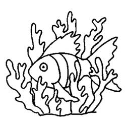 Coloring page: Coral (Nature) #163133 - Printable coloring pages