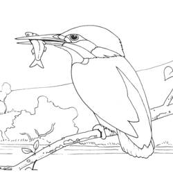 Coloring page: Countryside (Nature) #165647 - Free Printable Coloring Pages