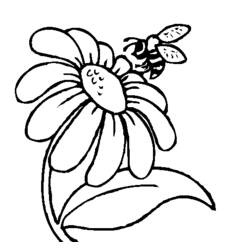 Coloring page: Daisy (Nature) #161369 - Printable coloring pages