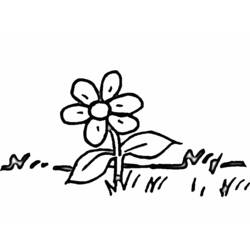 Coloring page: Daisy (Nature) #161375 - Printable Coloring Pages