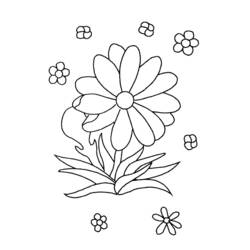 Coloring page: Daisy (Nature) #161390 - Printable Coloring Pages