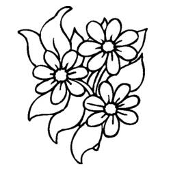 Coloring page: Daisy (Nature) #161472 - Printable Coloring Pages