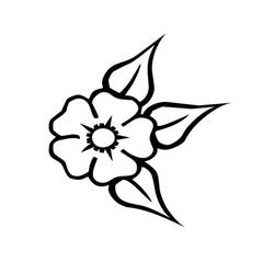 Coloring page: Daisy (Nature) #161486 - Printable Coloring Pages