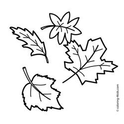 Coloring page: Fall season (Nature) #164051 - Printable coloring pages