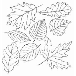 Coloring page: Fall season (Nature) #164052 - Printable coloring pages