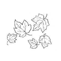 Coloring page: Fall season (Nature) #164081 - Free Printable Coloring Pages