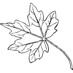 Coloring page: Fall season (Nature) #164082 - Free Printable Coloring Pages