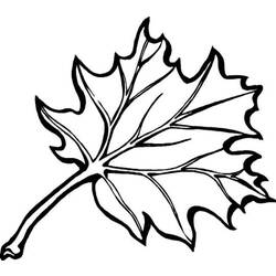 Coloring page: Fall season (Nature) #164084 - Free Printable Coloring Pages