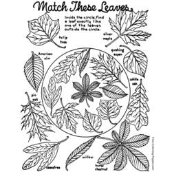 Coloring page: Fall season (Nature) #164089 - Free Printable Coloring Pages