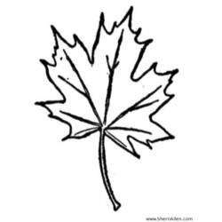 Coloring page: Fall season (Nature) #164096 - Free Printable Coloring Pages