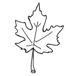 Coloring page: Fall season (Nature) #164097 - Free Printable Coloring Pages