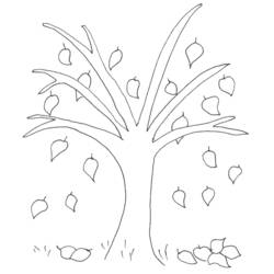 Coloring page: Fall season (Nature) #164110 - Free Printable Coloring Pages