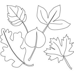 Coloring page: Fall season (Nature) #164139 - Free Printable Coloring Pages