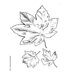 Coloring page: Fall season (Nature) #164145 - Free Printable Coloring Pages