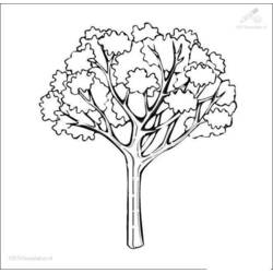 Coloring page: Fall season (Nature) #164163 - Free Printable Coloring Pages