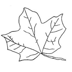 Coloring page: Fall season (Nature) #164173 - Free Printable Coloring Pages