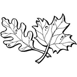 Coloring page: Fall season (Nature) #164195 - Free Printable Coloring Pages