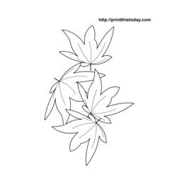 Coloring page: Fall season (Nature) #164196 - Free Printable Coloring Pages