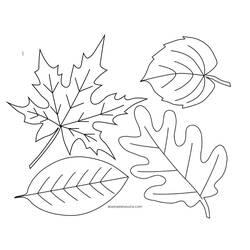 Coloring page: Fall season (Nature) #164199 - Free Printable Coloring Pages