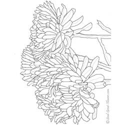 Coloring page: Fall season (Nature) #164221 - Free Printable Coloring Pages