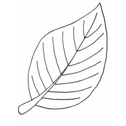 Coloring page: Fall season (Nature) #164243 - Free Printable Coloring Pages