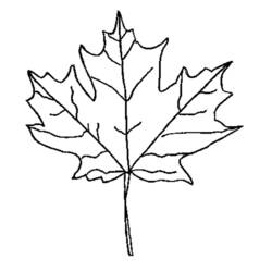 Coloring page: Fall season (Nature) #164244 - Free Printable Coloring Pages