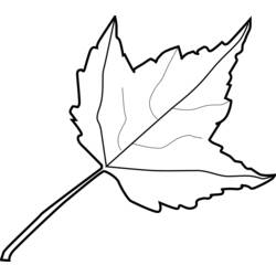 Coloring page: Fall season (Nature) #164246 - Free Printable Coloring Pages